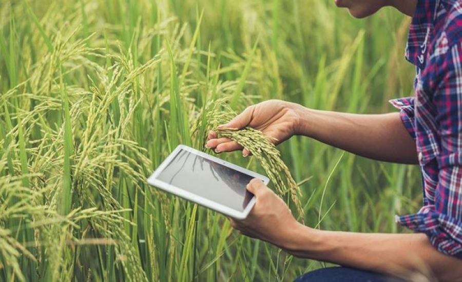 Os olhos do leão pairam sobre o produtor rural