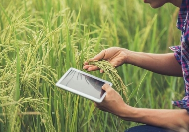 Os olhos do leão pairam sobre o produtor rural