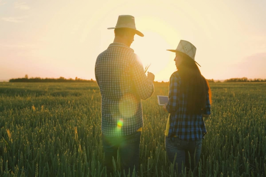 As decisões a serem tomadas antes da abertura de uma Holding Rural