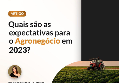 Quais são as expectativas para o Agronegócio em 2023?