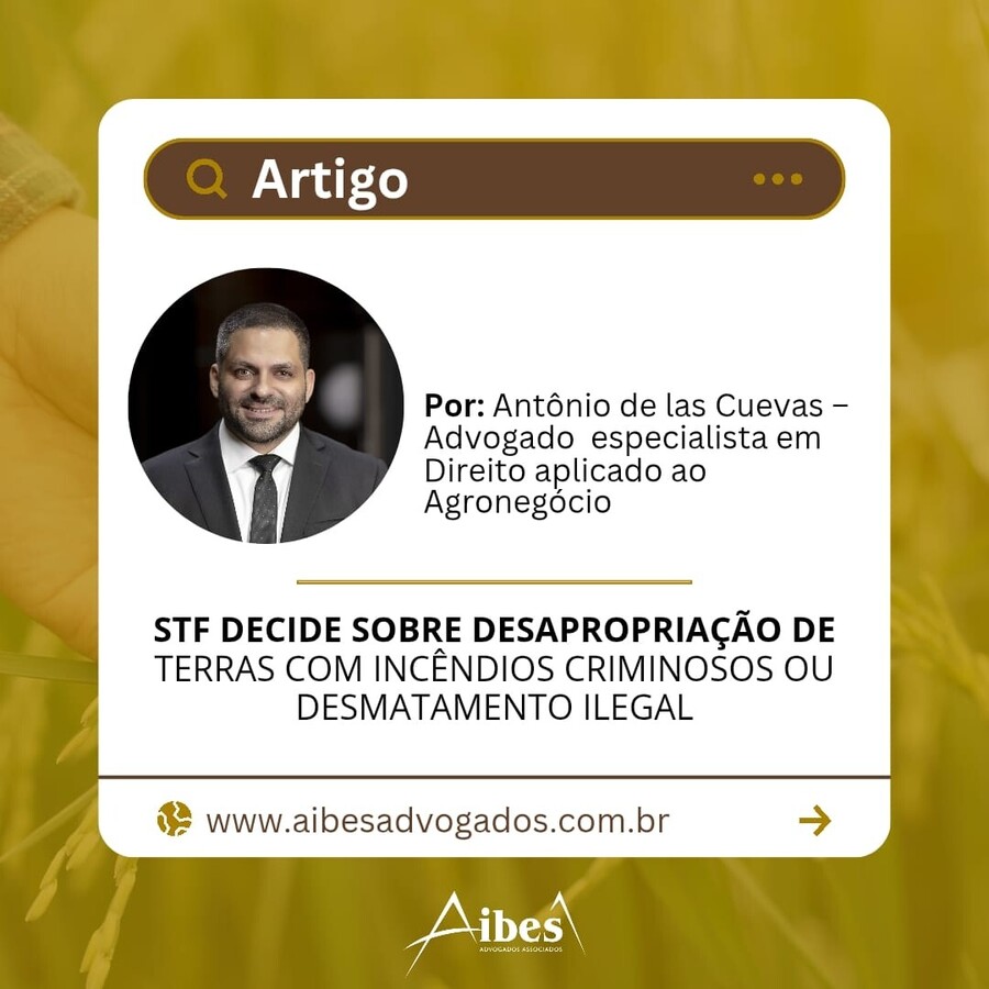 STF DECIDE SOBRE DESAPROPRIAÇÃO DE  TERRAS COM INCÊNDIOS CRIMINOSOS OU  DESMATAMENTO ILEGAL