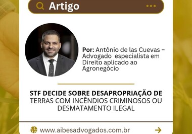 STF DECIDE SOBRE DESAPROPRIAÇÃO DE  TERRAS COM INCÊNDIOS CRIMINOSOS OU  DESMATAMENTO ILEGAL