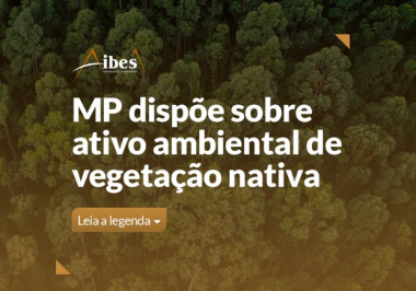 MP dispõe sobre ativo ambiental de vegetação nativa