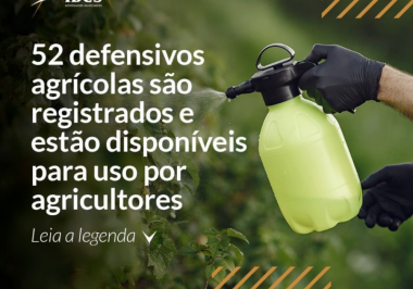 52 defensivos agrícolas são registrados e estão disponíveis para uso por agricultores