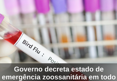 Governo decreta estado de emergência zoossanitária em todo o país