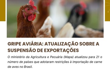 Gripe aviária: atualização sobre a suspensão de exportações