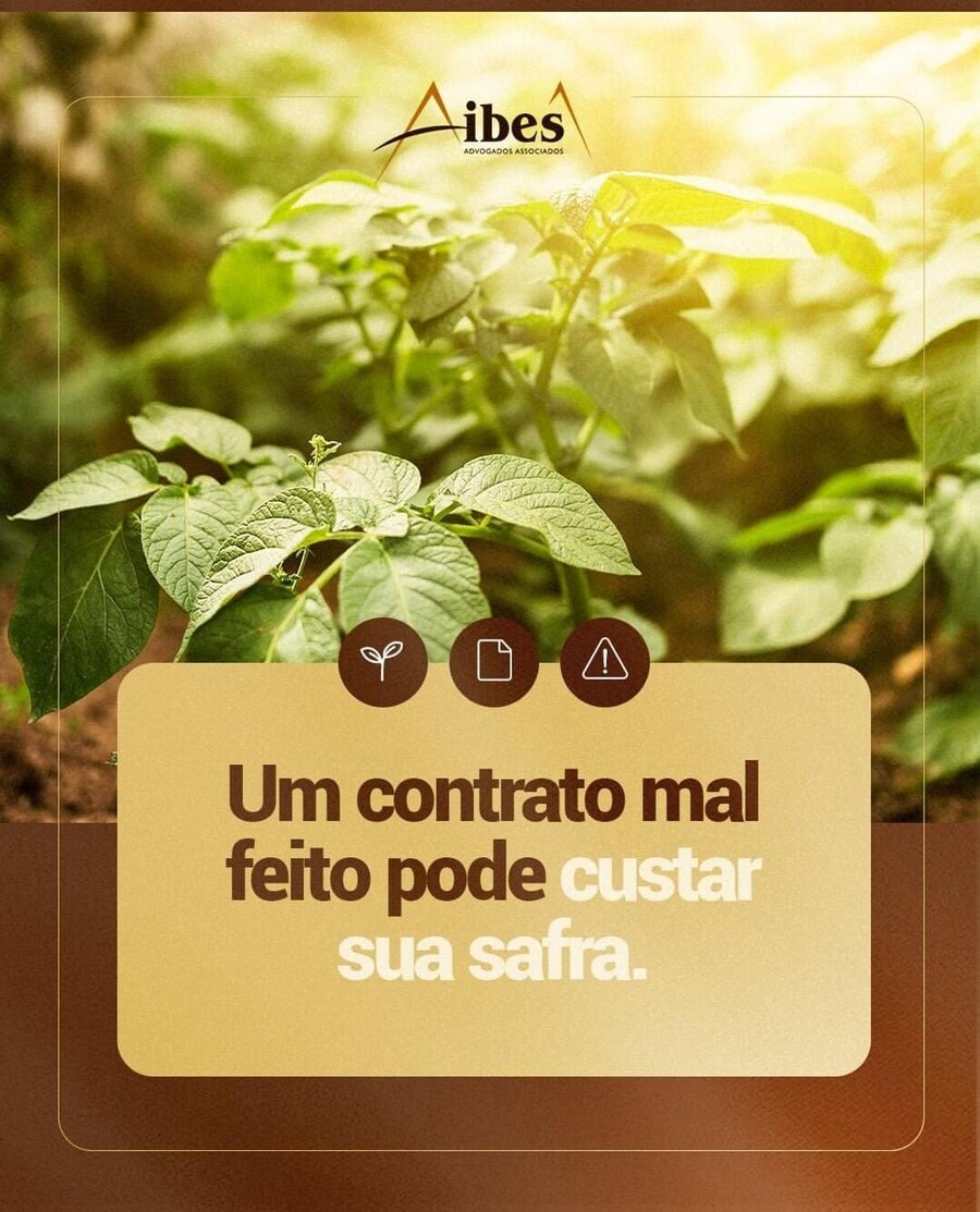Um contrato mal feito pode custar sua safra