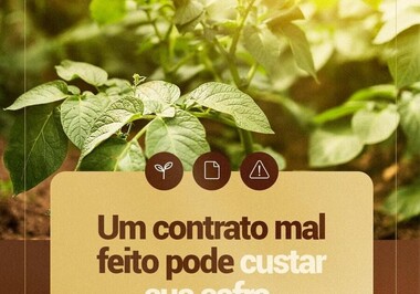 Um contrato mal feito pode custar sua safra