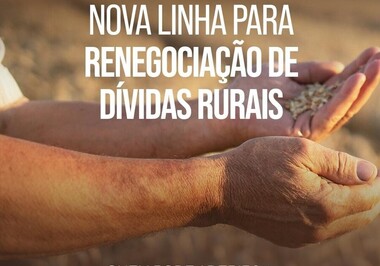 MP 1.376/2026 Nova linha para renegociação de dívidas rurais, quem pode aderir?