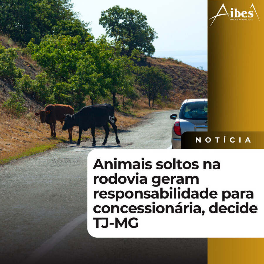 Animais soltos na rodovia geram responsabilidade para concessionária, decide TJ-MG