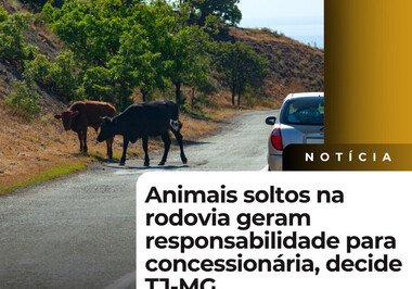 Animais soltos na rodovia geram responsabilidade para concessionária, decide TJ-MG