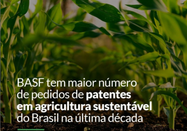 BASF tem maior número de pedidos de patentes em agricultura sustentável do Brasil na última década