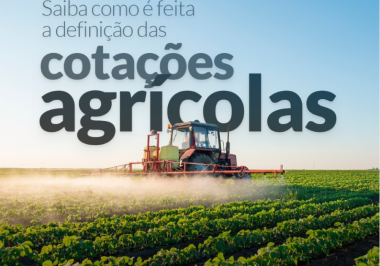 Saiba como é feita a definição das cotações agrícolas